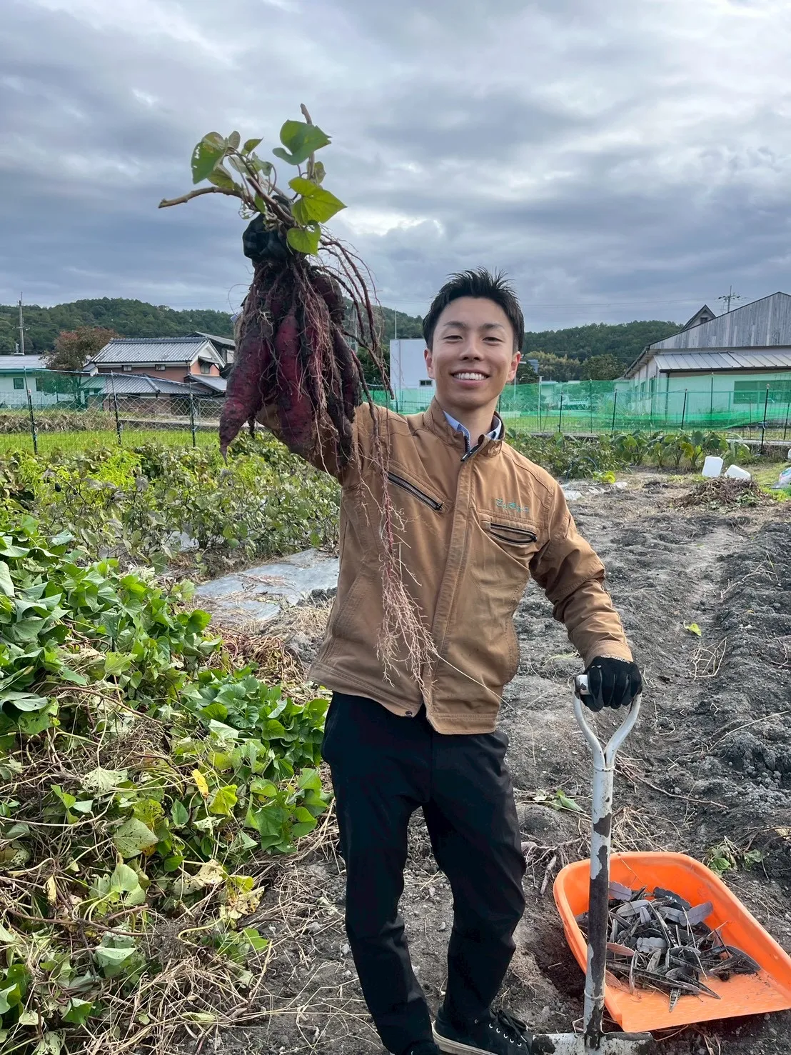 わくわく農園での収穫