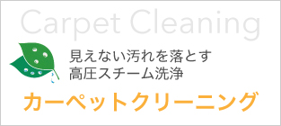 カーペットクリーニング 見えない汚れを落とす高圧スチーム洗浄 Carpet Cleaning