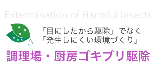 調理場・厨房ゴキブリ駆除 「目にしたから駆除」でなく「発生しにくい環境づくり」 Extermination of Harmful Insects