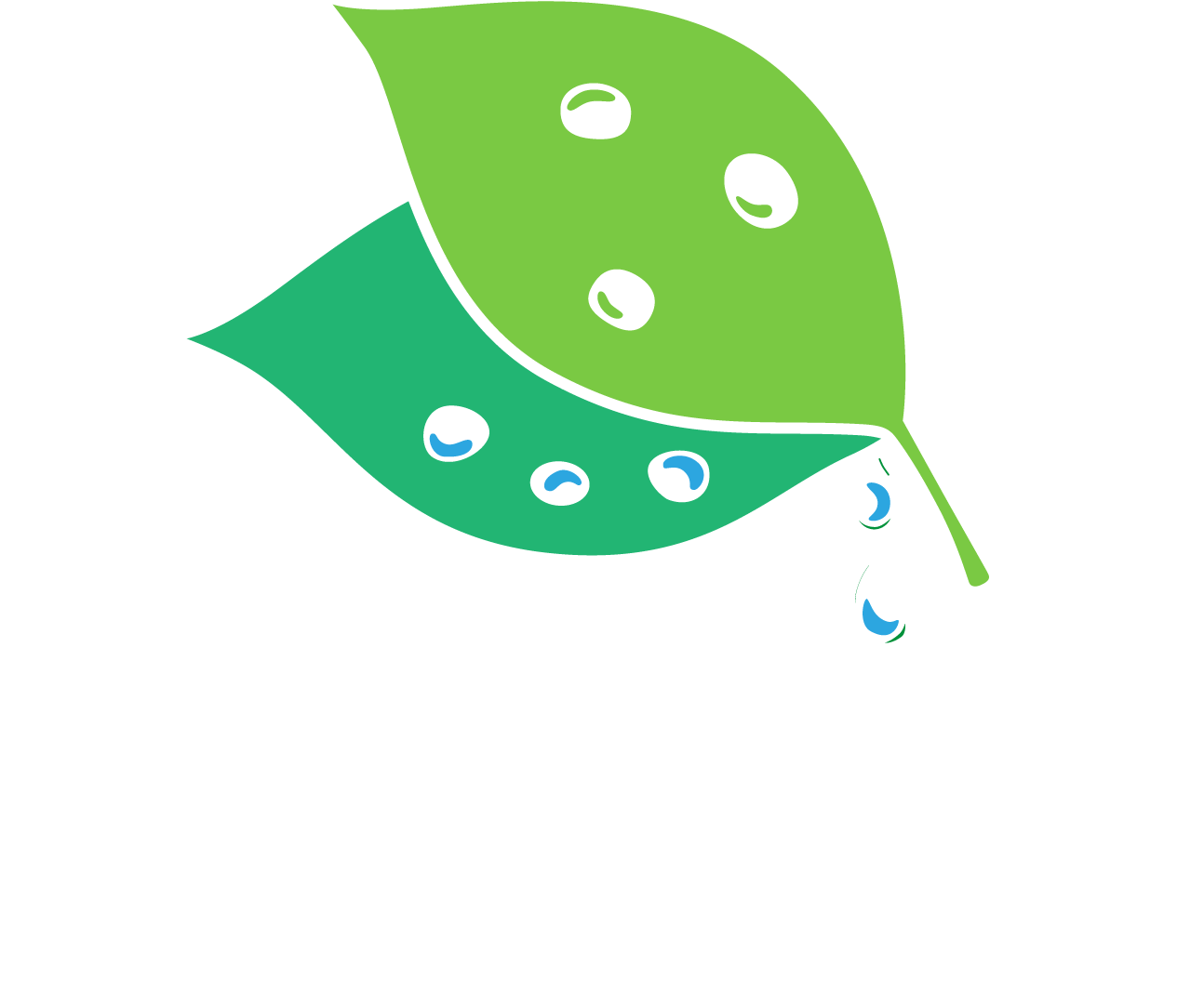 タカジョウ